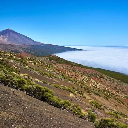 Hotell Melia Jardines Del Teide - Adults Only 5*
