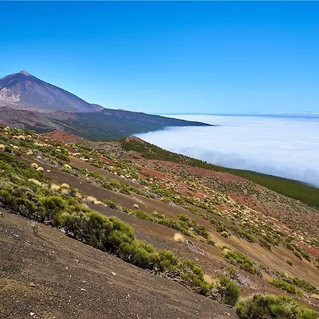 Melia Jardines Del Teide - Adults Only Hotell