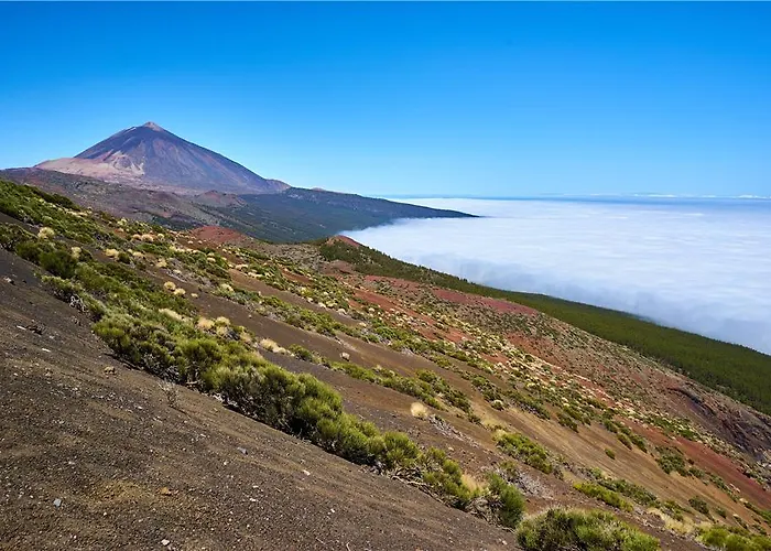 Meliá Jardines Del Teide Hotel